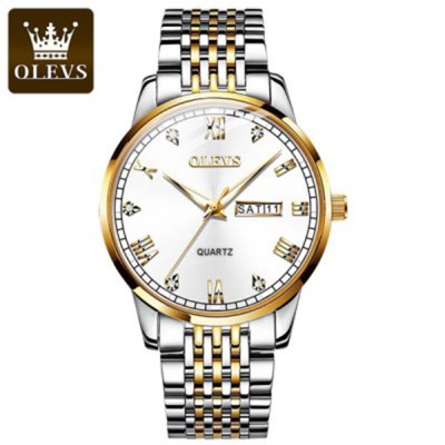 OLEVS 6602 Luxury Watch