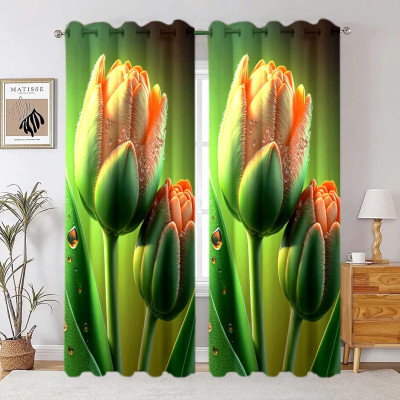 2 Piece 3D Print Premium curtain